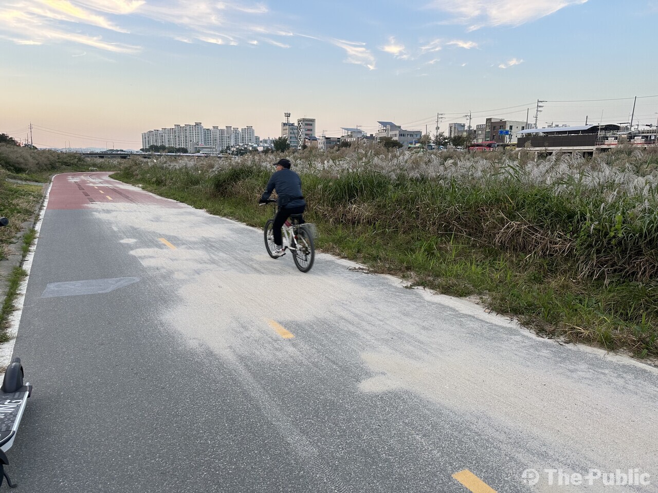모래위를 달리는 자전거 모습. /오홍지 기자
