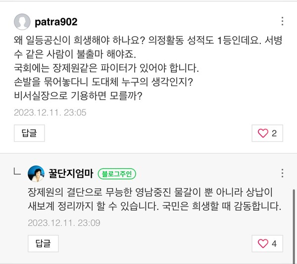전여옥 전 의원이 자신의 블로그에 답글을 달고 달았다. /사진 = 전여옥 블로그