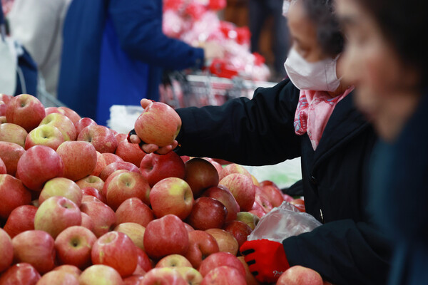 ▲ 사과 등 과일 가격 오름세가 지속되는 10일 서울 시내 한 대형마트에서 시민이 사과를 고르고 있다. (사진제공=연합뉴스)