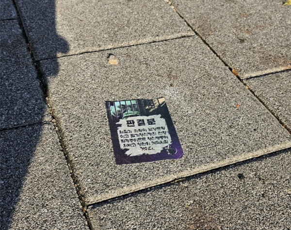 24일 용산 대통령실 인근 생활도로에 북한이 살포한 쓰레기 풍선에서 낙하한 것으로 추정되는 대남 전단이 떨어져 있다(이미지 출처- 시사1)