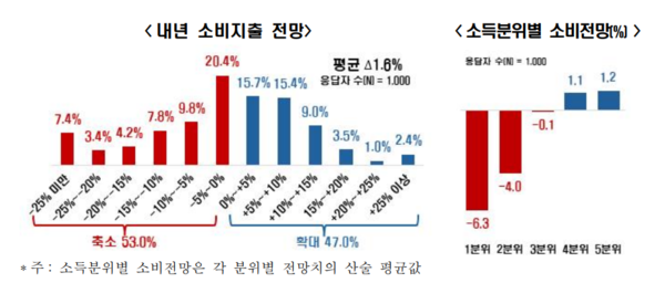 내년 소비 지출 전망 및 소득 분위별 소비 전망[그래프=한국경제인협회]