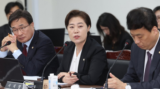 국민의힘 서지영 원내대변인 [연합뉴스]