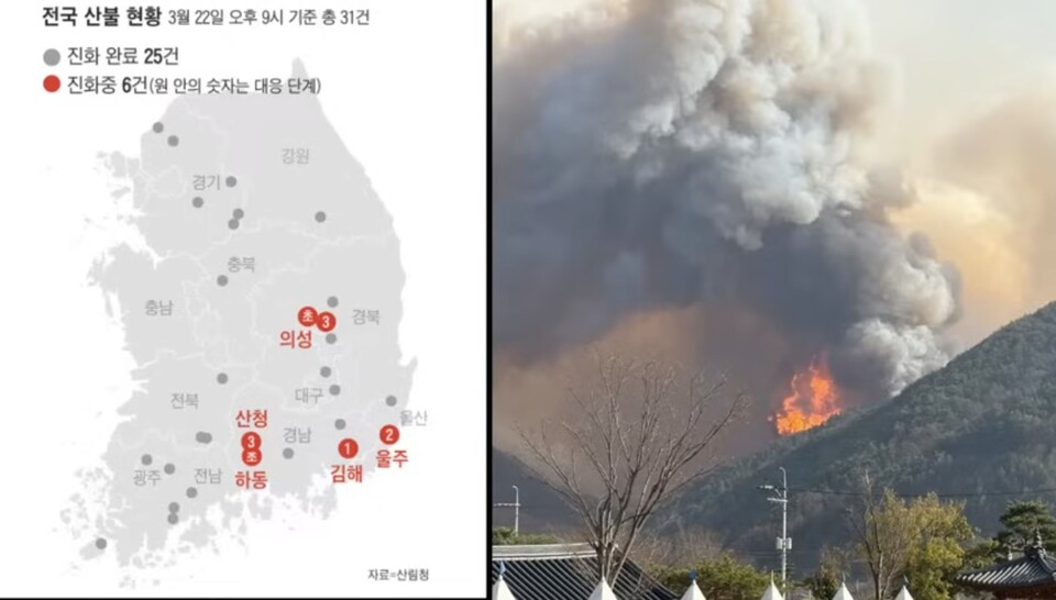 수상한 전국 산불 동시다발 발생, “산불은 우연이 아니다, 대한민국을 위협하는 조용 전쟁, 배후를 밝히고 국가가 나서야 할 때”