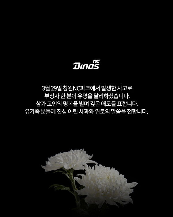 [사진제공=NC 다이노스 팀 공식 인스타그램]