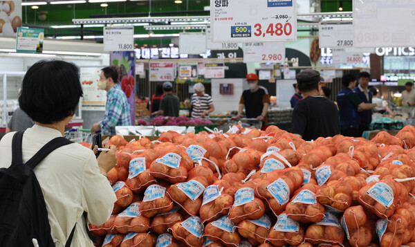 지난 20일 서울 서초구 하나로마트 양재점 양파 판매대 모습. [연합뉴스]