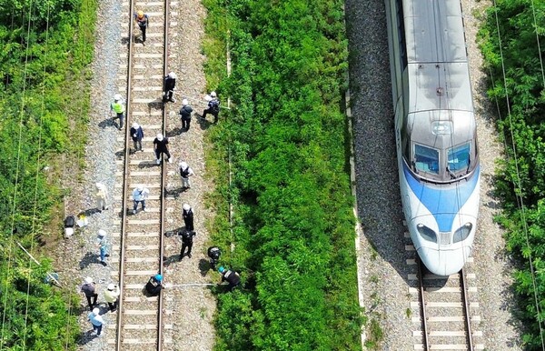 지난달 20일 오후 경북경찰청, 국립과학수사연구원, 항공철도사고조사위원회, 노동 당국 등 합동감식에 참여한 기관 관계자들이 경북 청도군 화양읍 삼신리 경부선 무궁화호 열차 사고 현장에서 합동감식을 진행하고 있는 모습