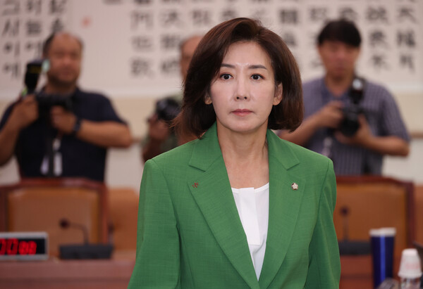 국민의힘 나경원 의원 [연합뉴스]