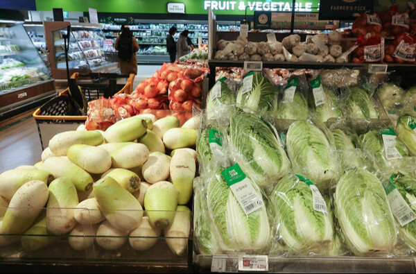 13일 서울 한 대형마트 배추, 무 진열대(연합뉴스)