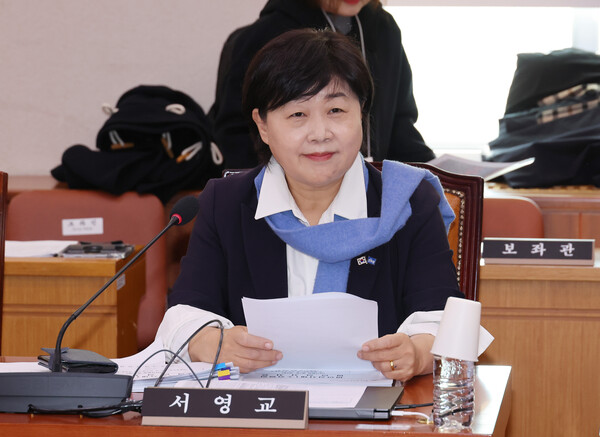 더불어민주당 서영교 의원이 19일 국회에서 열린 법제사법위원회 법안심사제1소위원회에 참석해 있다. (연합뉴스)